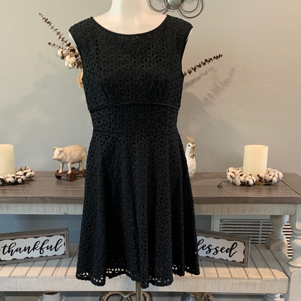 LOFT Black Sleeveless Lace Fit-and-Flare Dress